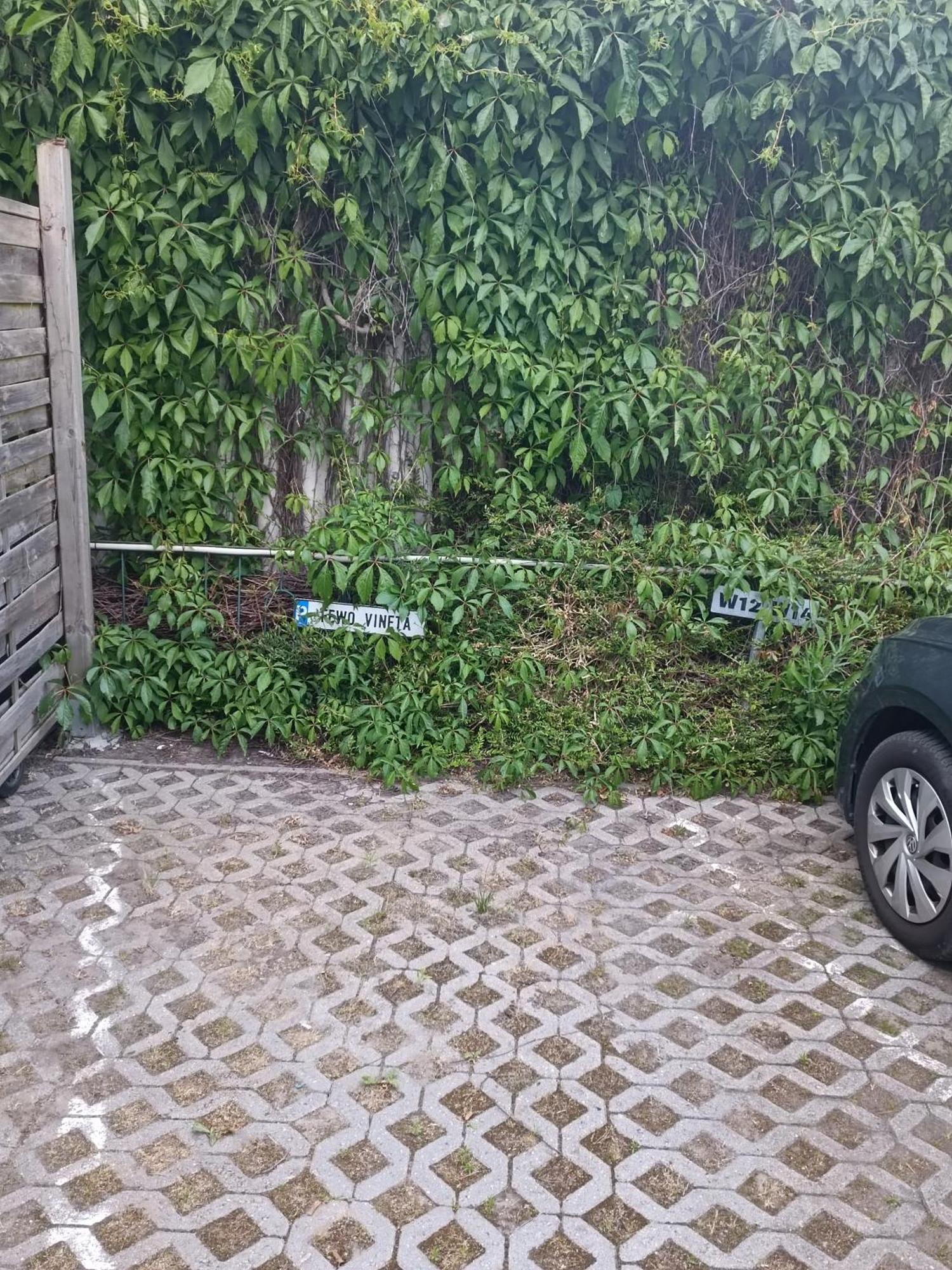 Fewo Vineta بارث المظهر الخارجي الصورة
